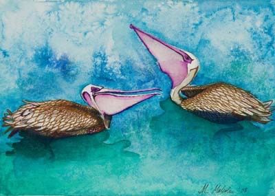Pelicans - Duet