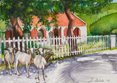 Jost Van Dyke Church with Goats
