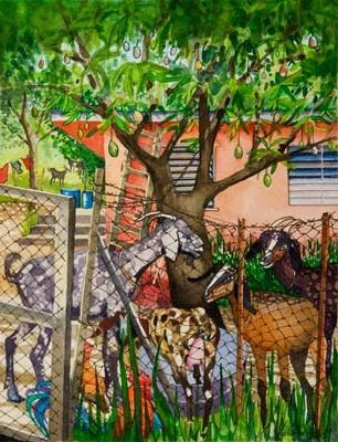 Goats Under Mango Tree