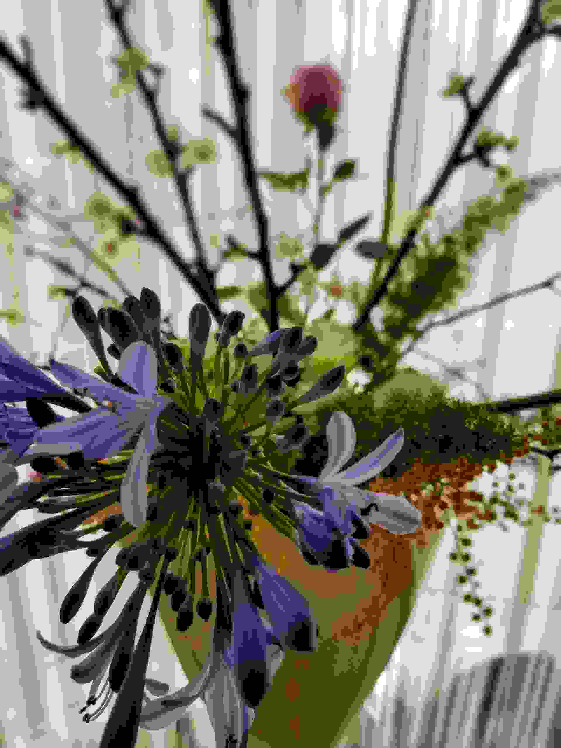 Japanese Flower Arranging Ikebana Houston Chapter 12