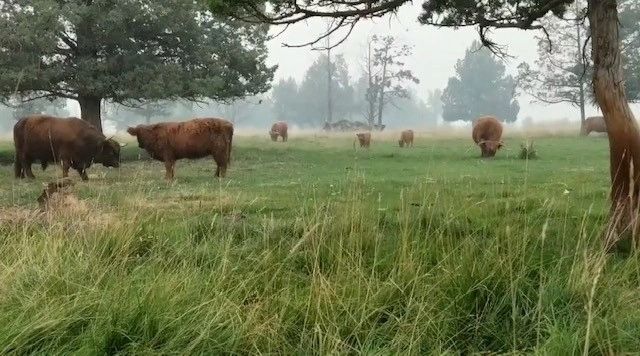 Flying Double J Ranch