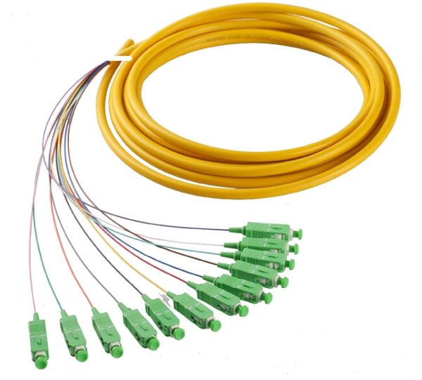 12 Strand 9/125 Fiber Optic Pigtails SC/APC Single Mode