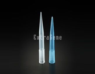 Product: 1000ul / Universal Pipette Tips