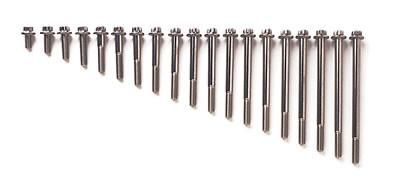 APR Radial Caliper Bolts - 12 Point High Strength Stainless (Sold as pack of 2)