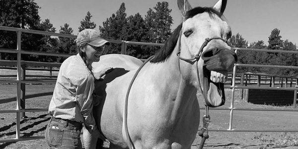 Structural Integration. Equine Massage Therapy in Central Oregon PC: @hamiltonequine