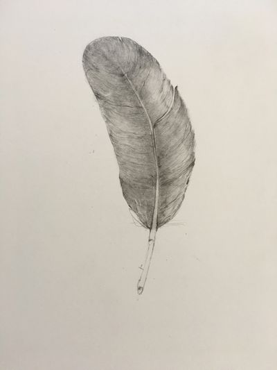 image7