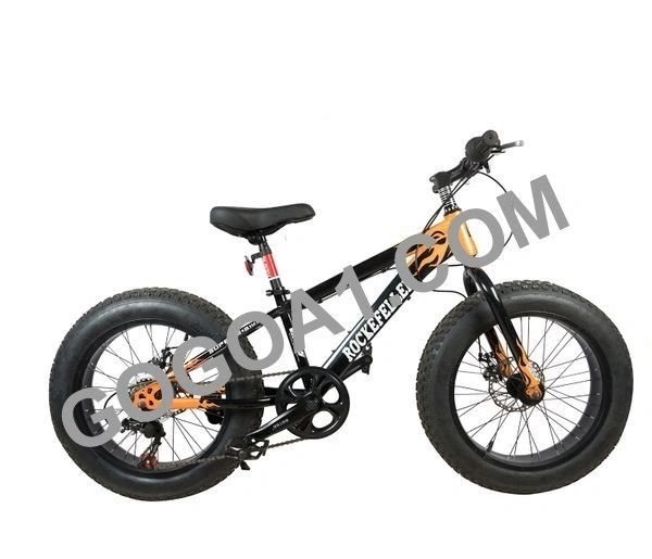 david bowie top gear Bowie, WHEN I LIVE MY DREAM Reiseetui - Alle Reiseunterlagen DPD Prime raus Option:EB5 Roamer ST Pedals