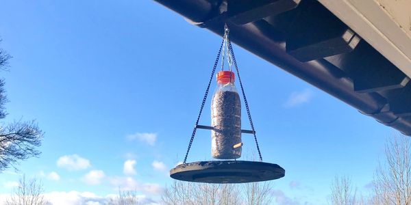 make your own seed feeder from plastic bottles