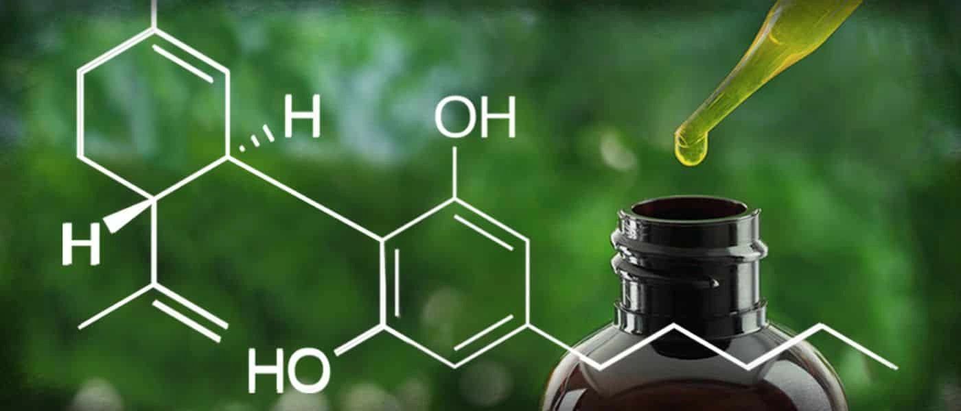 cbd oil new york law