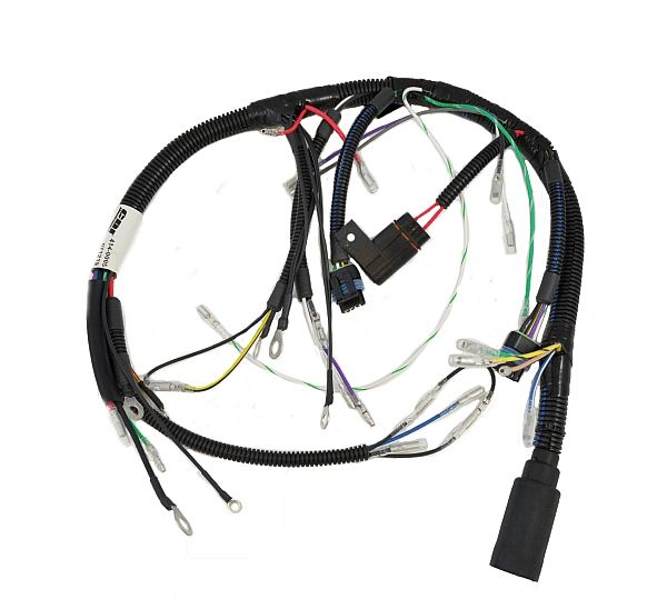 Mercury Harness, Ignition 2 Cylinder CDM CDI Electronics with Engine