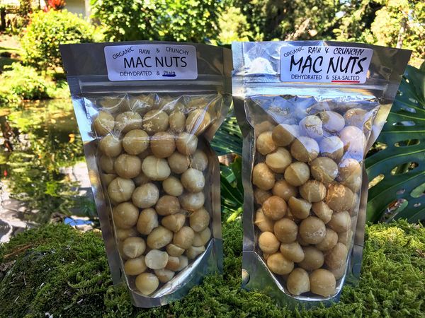 Mac Nuts - Organic, Raw, Dehydrated - Raw & Crunchy