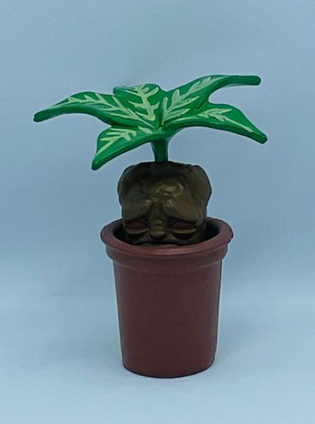 Screaming Mandrake in Pot