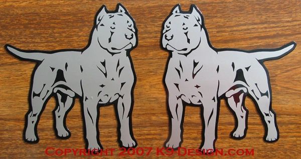 American Staffordshire Terrier "Pit Bull" Magnet - Choose Color & Natural or Cropped Ears