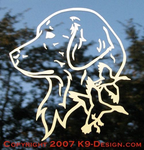 Golden Retriever Headstudy with Ducks Decal