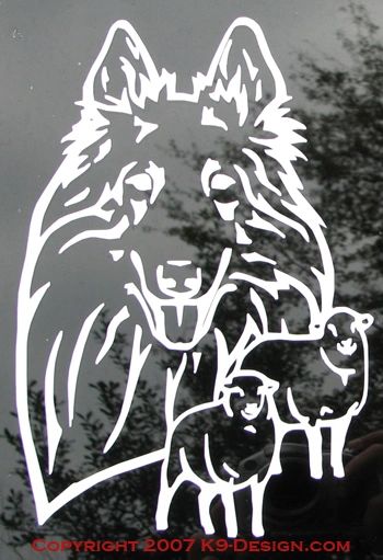 Belgian Sheepdog Headstudy with or without Sheep Decal