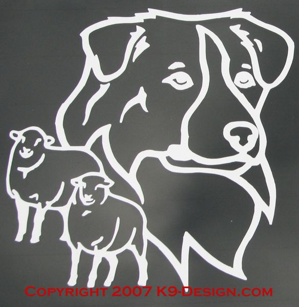 Australian Shepherd Headstudy With Sheep Decal - Choose Color