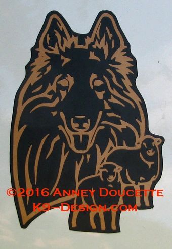 Belgian Tervuren Headstudy with or without Sheep Magnet