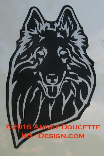 Belgian Sheepdog Headstudy with or without Sheep Magnet