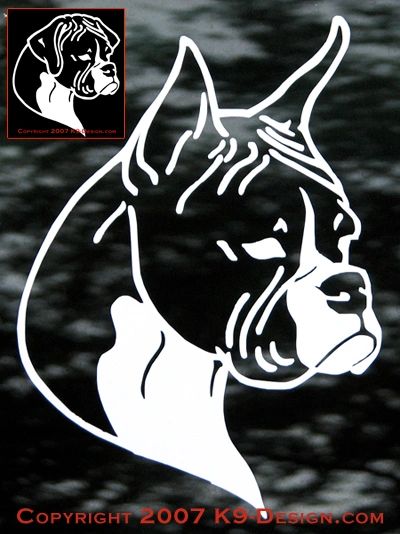 Boxer Headstudy Decal - Natural or Cropped Ears