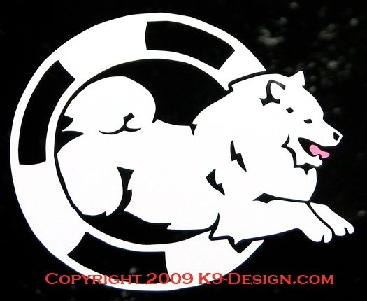 Samoyed Agility Decal