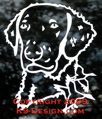 Curly-Coated Retriever Headstudy with Ducks Decal
