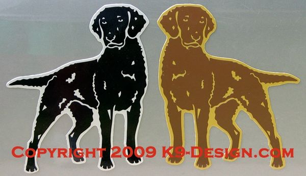 Curly-Coated Retriever Standing Magnet - Black or Liver