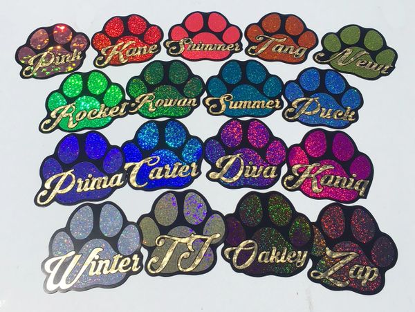 Custom Name Paw Print Magnet - Choose Color