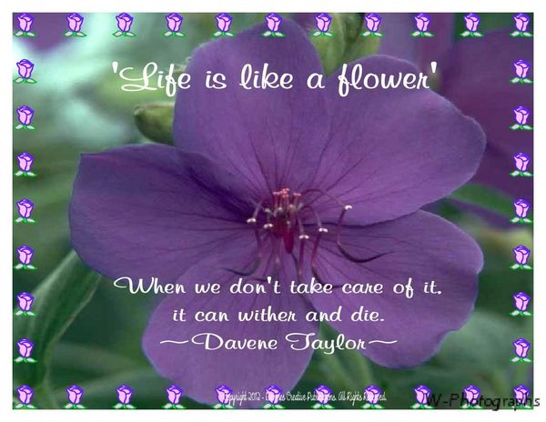 Life Is Like A Flower