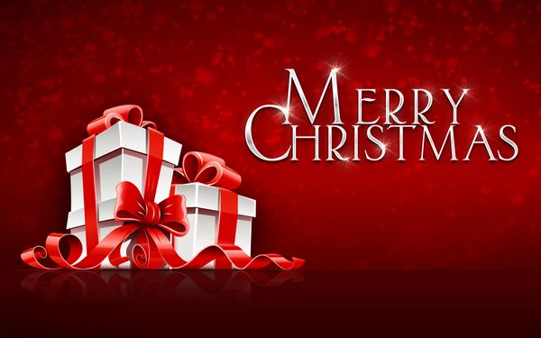 Christmas Surprise