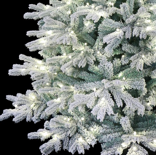 Blue Spruce Christmas Tree – Christmas Delivered