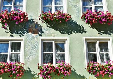 European Style Window Boxes | WindowBoxes.com