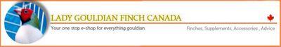 Lady Gouldian Finch Canada