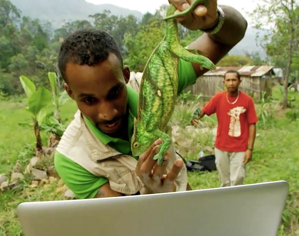 Madagascar LIVE Coming - October - November 2018