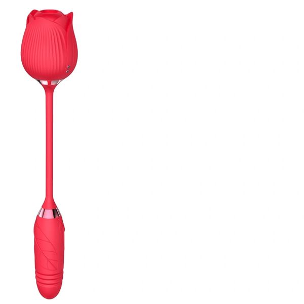 YC526 Thrusting Wand and Suction Rose