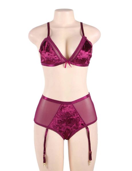 YP863 Burgundy Soft Velvet With A Sheer Mesh Trim Bra Set