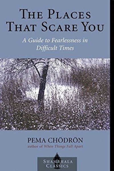 The Places That Scare You by Pema Chodron Christopher Pollock Overcoming fear in California LA