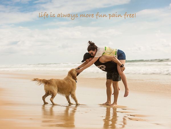 Golden retriever and owners having fun at the beach