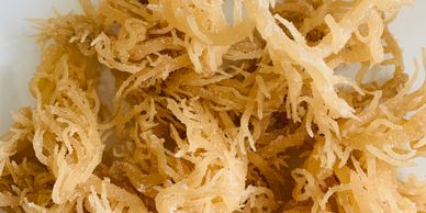 Wildcrafted Jamaican Irish Moss Sea Moss