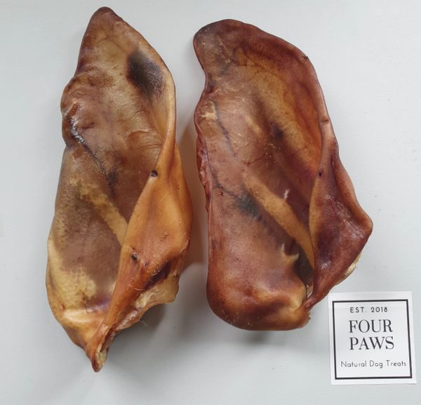 XL Pigs Ear (single)