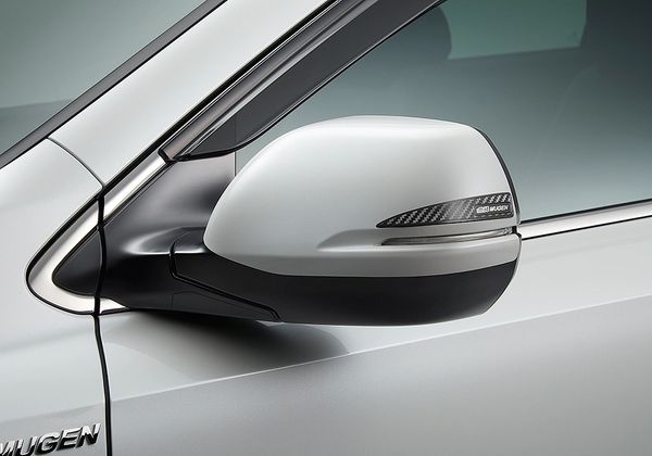 Mugen Mirror Scratch Protectors
