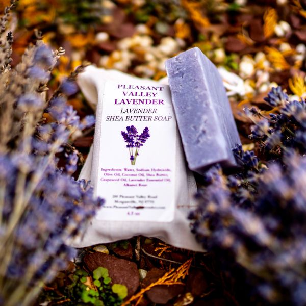 Lavender Shea Butter Soap