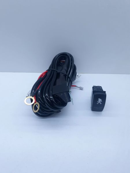 Switch and Relay Harness