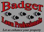 Badger Lawn Professionals