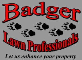 Badger Lawn Professionals