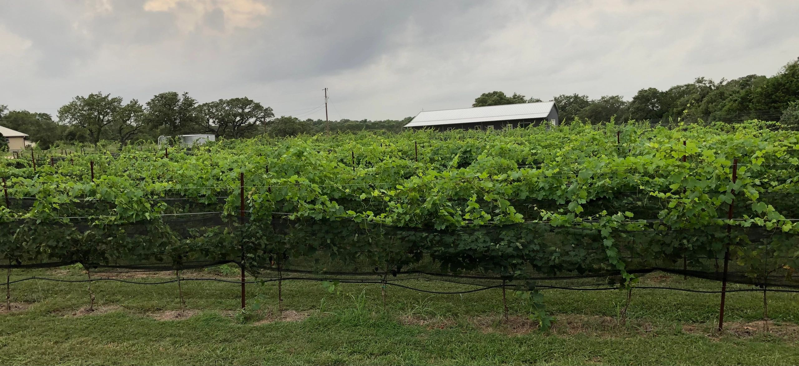 Aubrey Family Farm, LLC Aubrey Family Farm