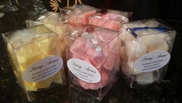 Fraser Fir Scented Wick-less Candle Melts Gift Set Of 15