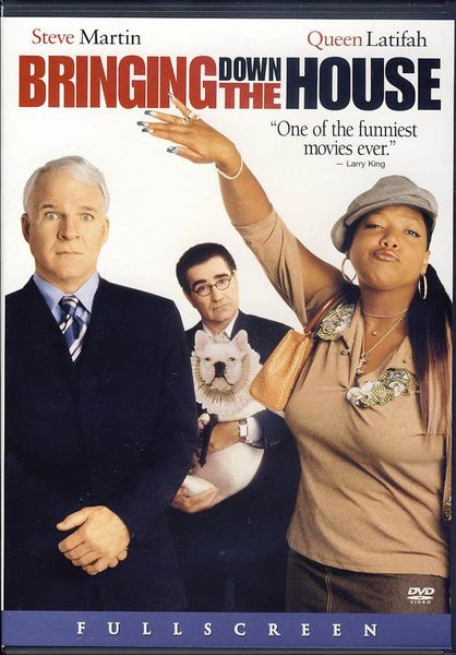 Bringing Down The House (DVD, 2003, Full Frame)