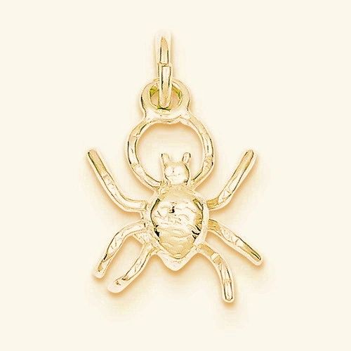 Spider Charm