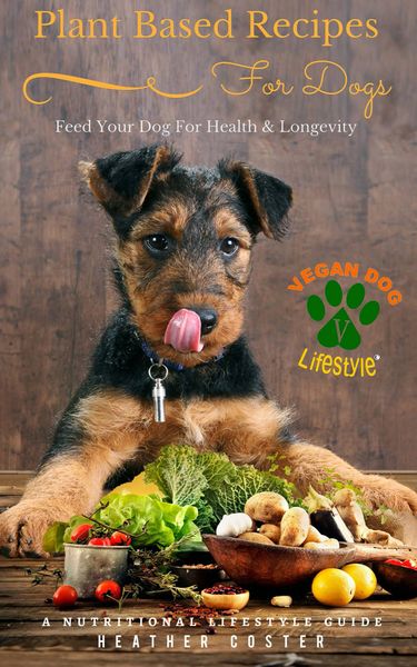Plant Based Recipes for Dogs - Feed Your Dog for Health & Longevity