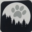 Full Moon Rising Doggie Daycare and Boarding